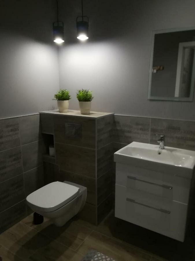 Appartement Apartament Swieradow Extérieur photo